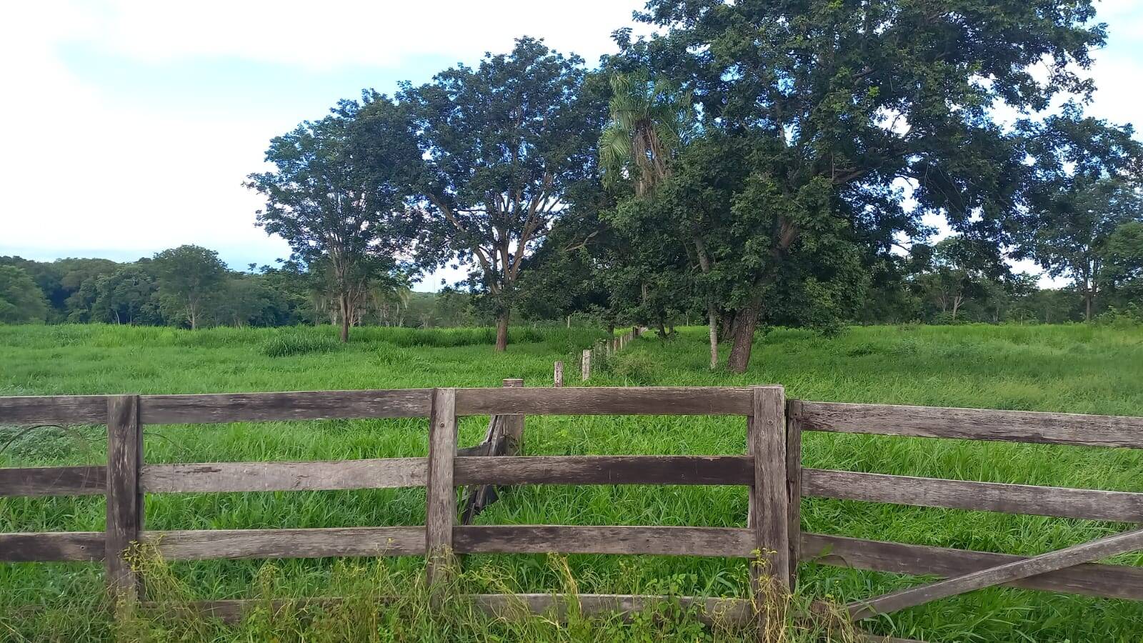 Terreno, 290 m² - Foto 8