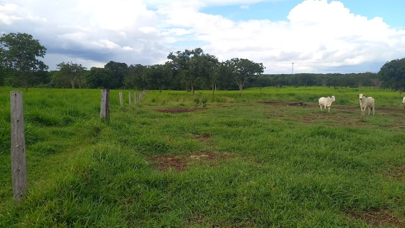 Terreno, 290 m² - Foto 10