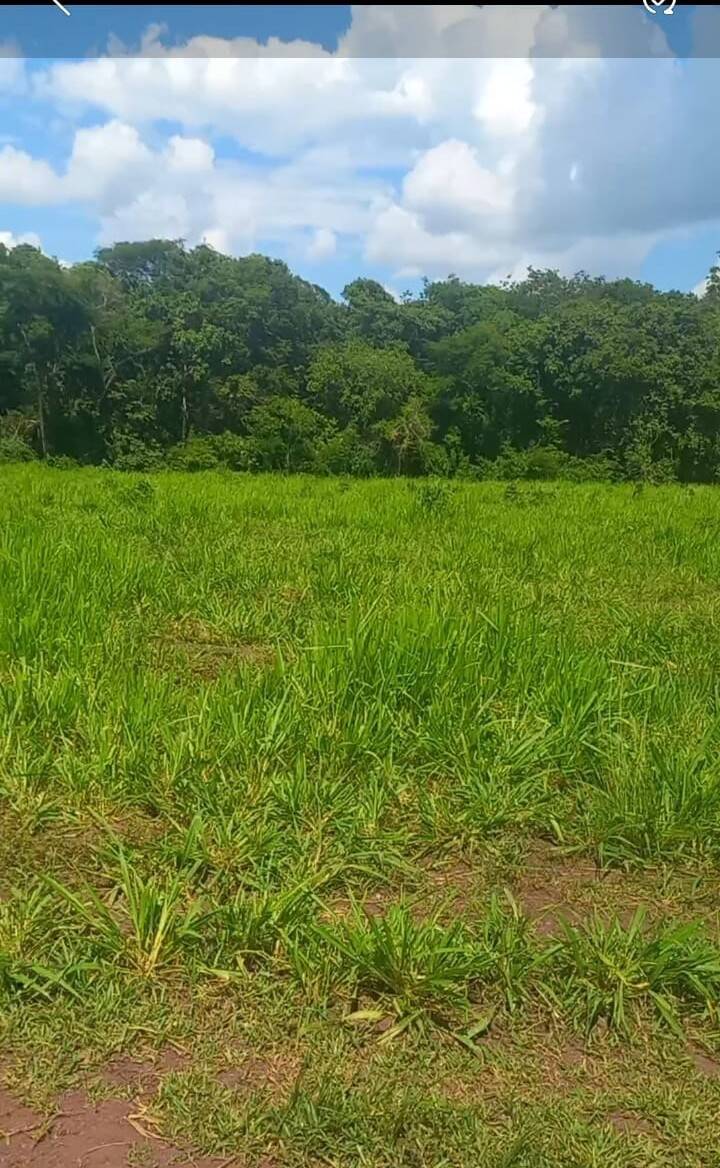 Terreno, 290 m² - Foto 11