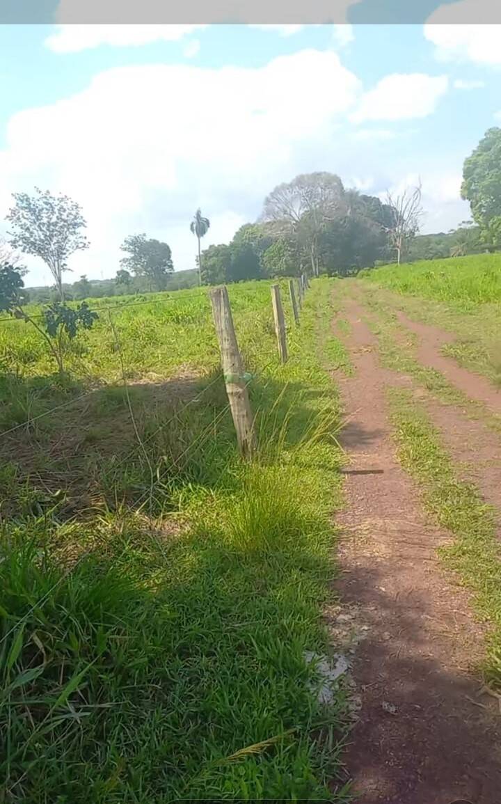 Terreno, 290 m² - Foto 12