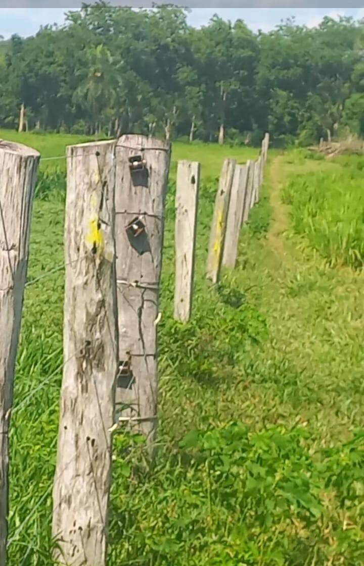 Terreno, 290 m² - Foto 15