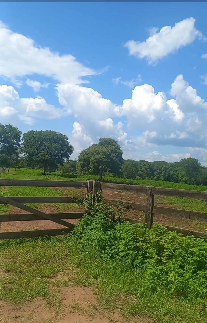 Terreno, 290 m² - Foto 17