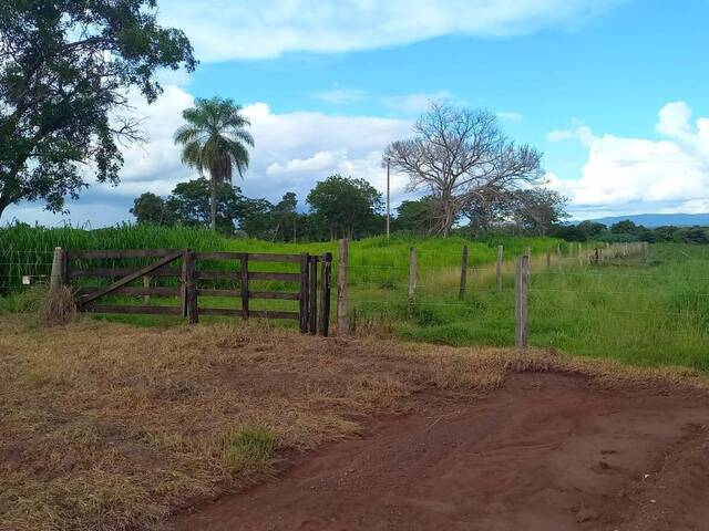 #377 - Fazenda para Venda em Acorizal - MT - 2