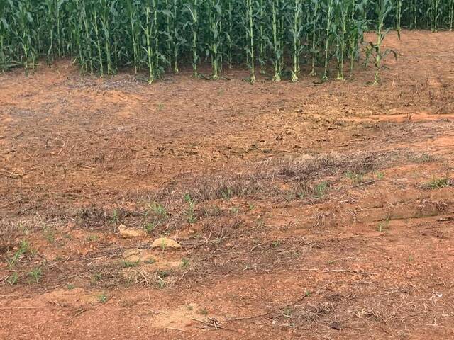 #453 - Chácara para Venda em Cuiabá - MT - 2