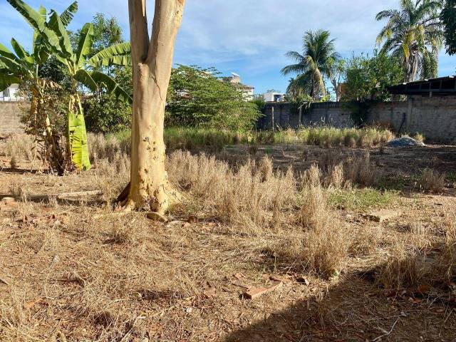 #497 - Área para Venda em Cuiabá - MT - 2