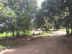 #449 - Área para Venda em Cuiabá - MT - 1