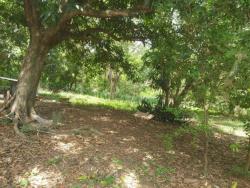 #449 - Área para Venda em Cuiabá - MT - 3